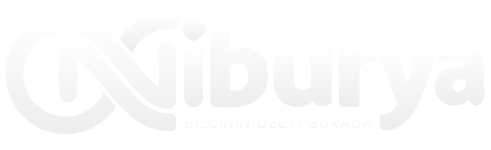 Niburya - Logo